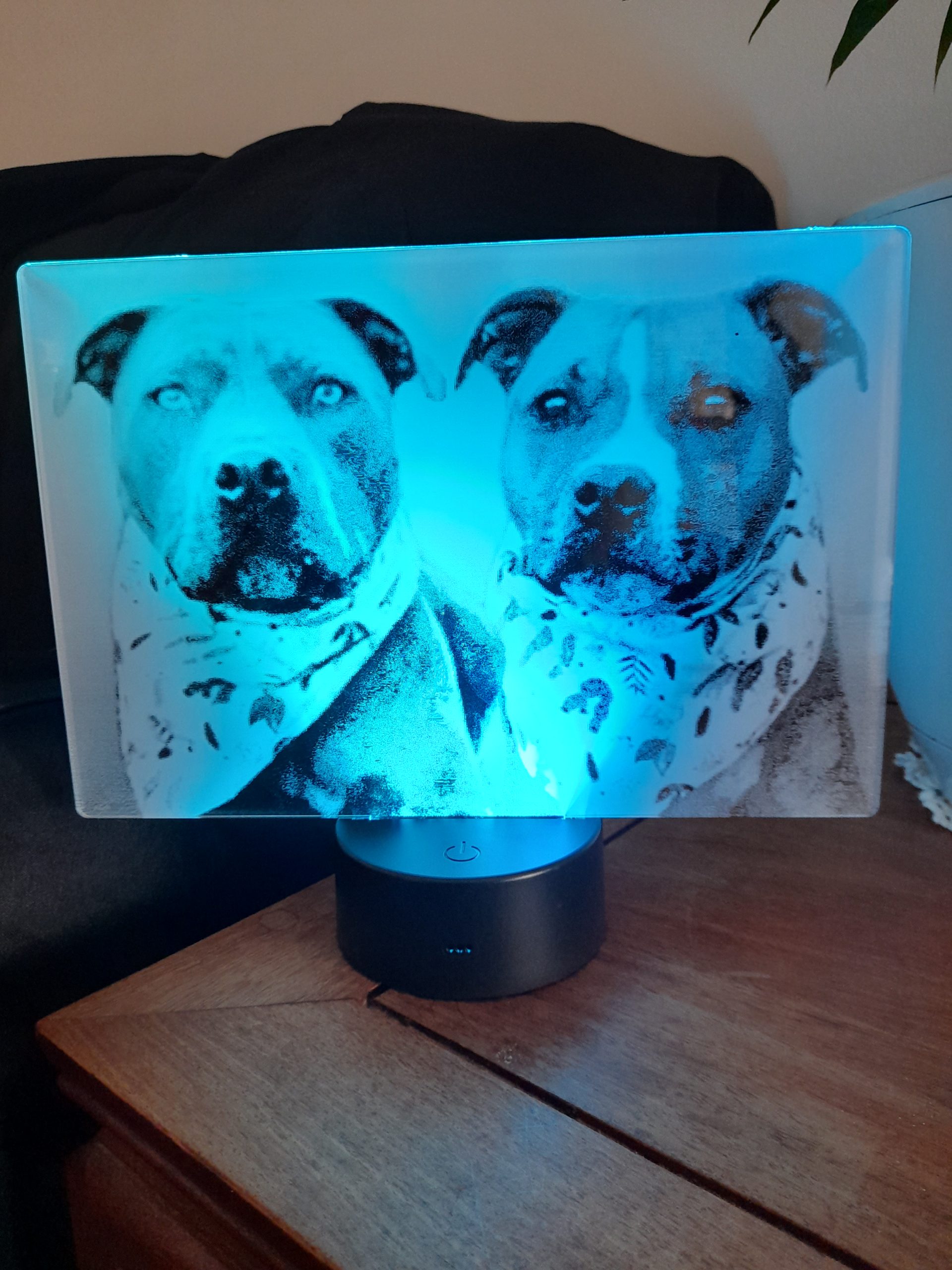 Rottweiler lamp shop